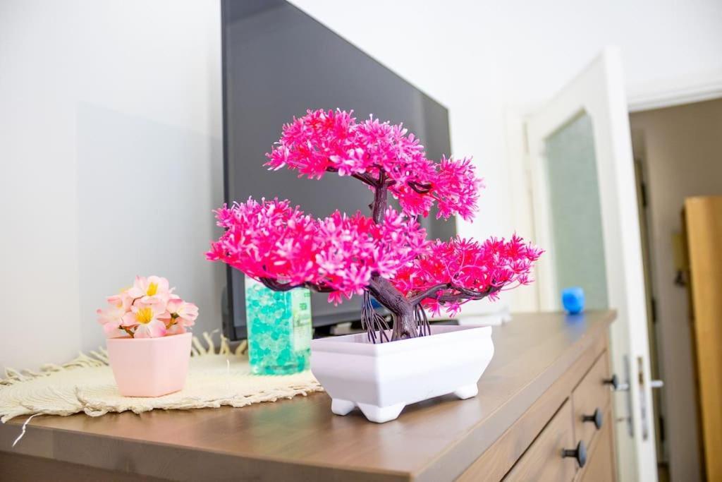 Apartment Cleverflat, Center And Fiumicino Link